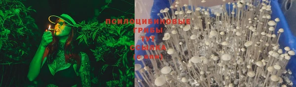 первитин Богородицк