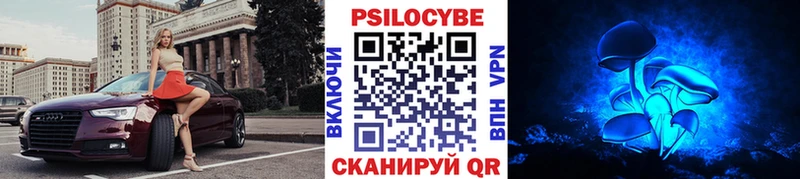 OMG сайт  где продают наркотики  Кологрив  Галлюциногенные грибы ЛСД 